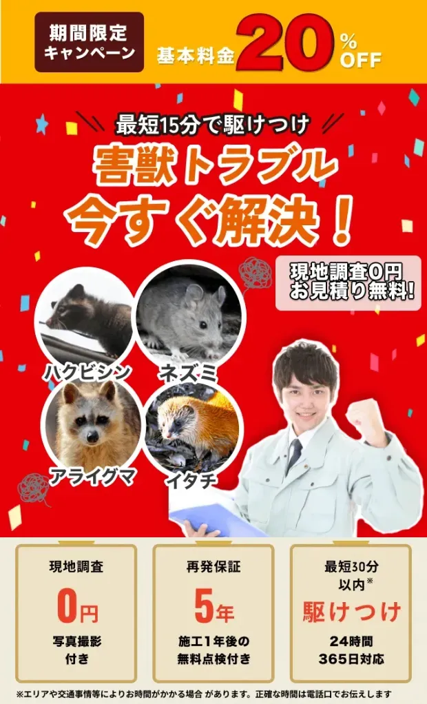 街角害獣駆除相談所